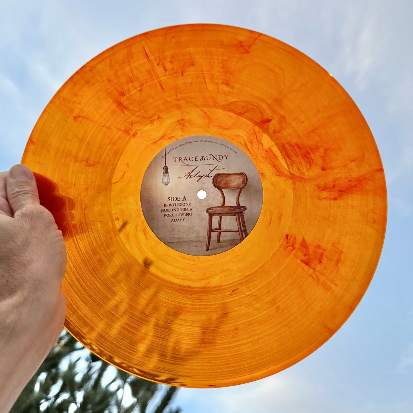 * LP/Vinyl: ADAPT  (Transparent Tangerine pressing)